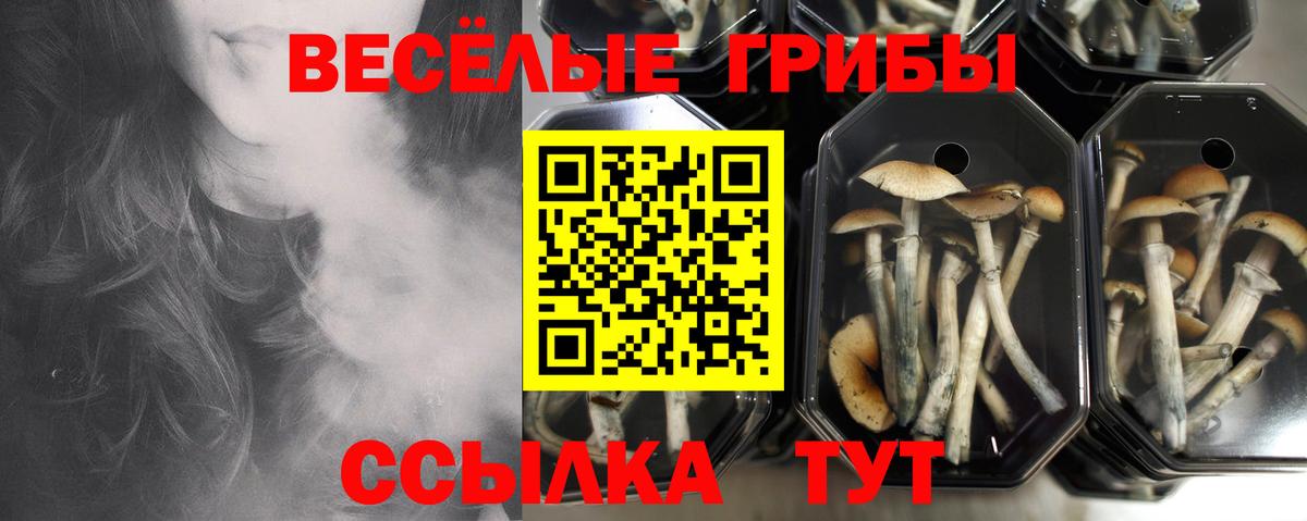что такое наркотик  Псилоцибиновые грибы Cubensis  Вход с VPN  Азнакаево 